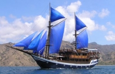KLM Sea Safari VII
