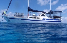 Coral Sea Dreaming