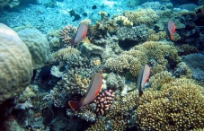 Cairns