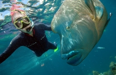 Great Barrier Reef