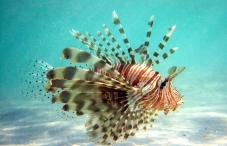 Hurghada