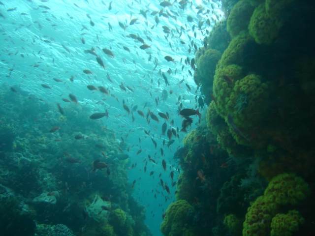 Anilao, Batangas