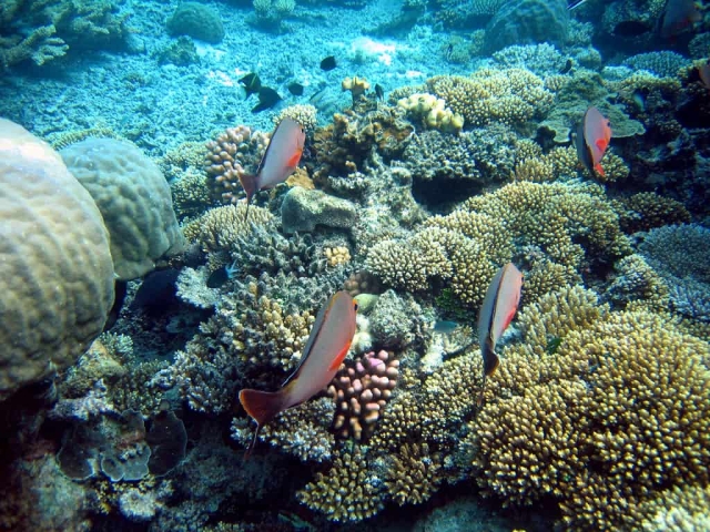 Cairns