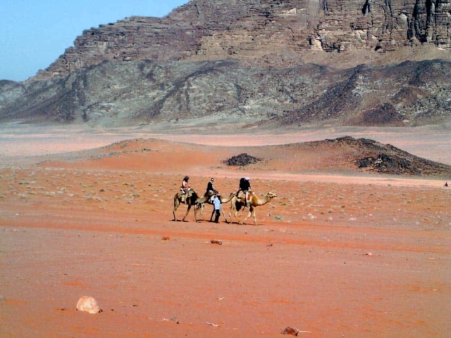 wadi rum camel safari wadin rum camel safari