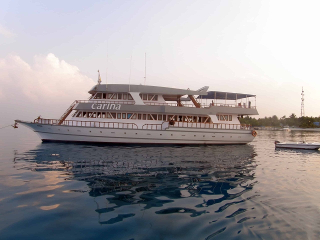 This the Carine Liveaboard for a diving trip review in Maldives This the Carine Liveaboard for a diving trip review in Maldives