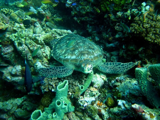 Gili Islands, Lombok