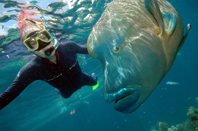 Great Barrier Reef