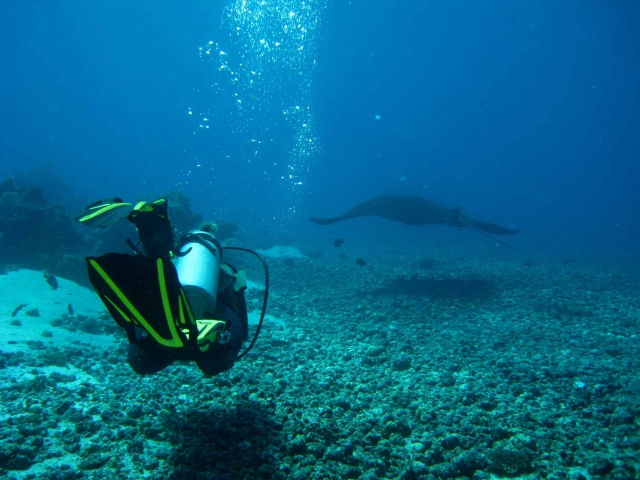 Komodo Island