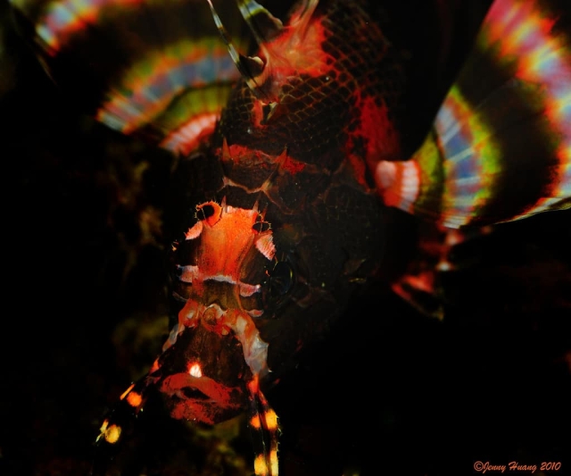 Lembeh Strait