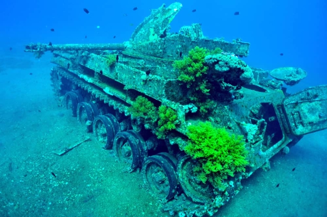 tank dive site aqaba m42 tank dive site aqaba m42