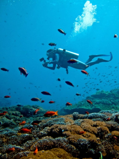 Nusa Penida / Nusa Lembongan