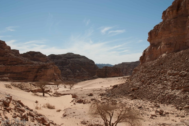 Nuweiba Excursion Activities Nuweiba Excursion Activities