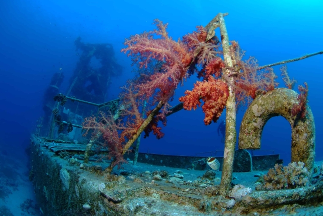 satil-wreck-scuba-diving-review-eilat satil-wreck-diving-review-eilat