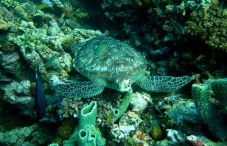Gili Islands, Lombok