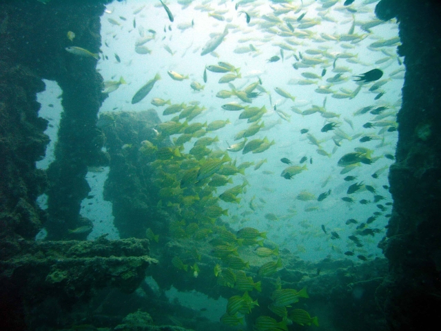 premchai wreck premchai wreck